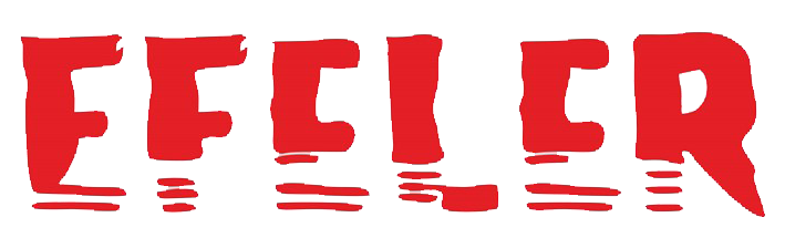 Efeler Gazetesi